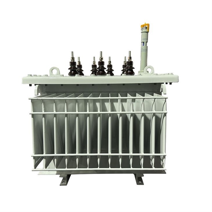 75 KVA 3 Phase Distribution Transformer-0.22/0.415 KV | Guyana 2025 price